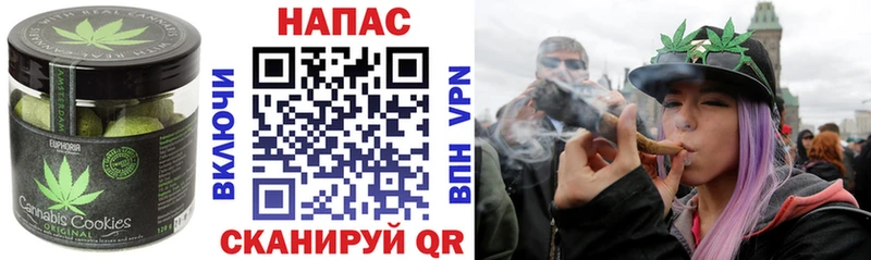 купить закладку  мега маркетплейс  Печенье с ТГК конопля  Сокол 