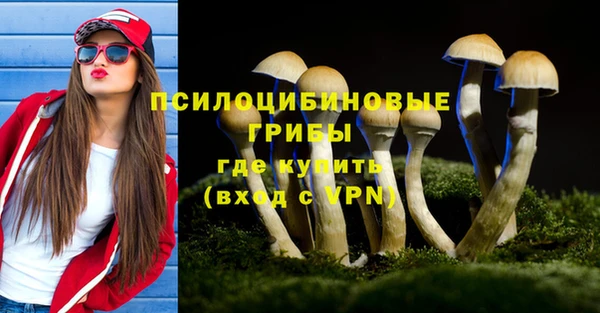 дурь Абаза