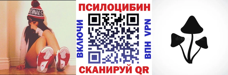 Псилоцибиновые грибы Psilocybe Сокол
