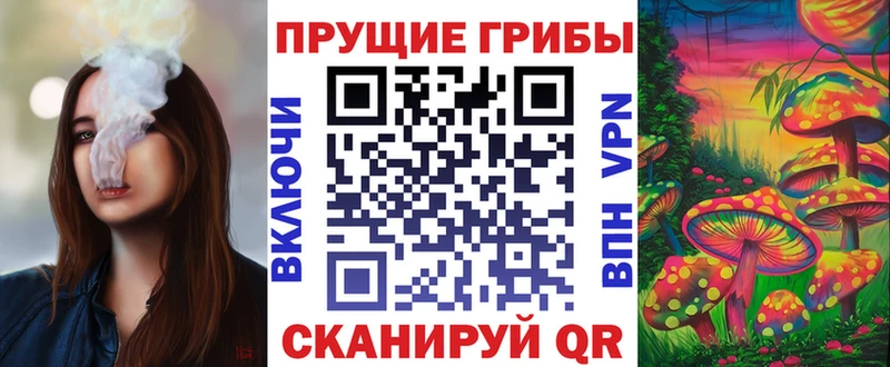 купить   Сокол  МЕГА ТОР  Галлюциногенные грибы Psilocybe 