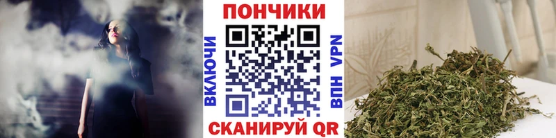 Бошки Шишки ГИДРОПОН  Сокол 