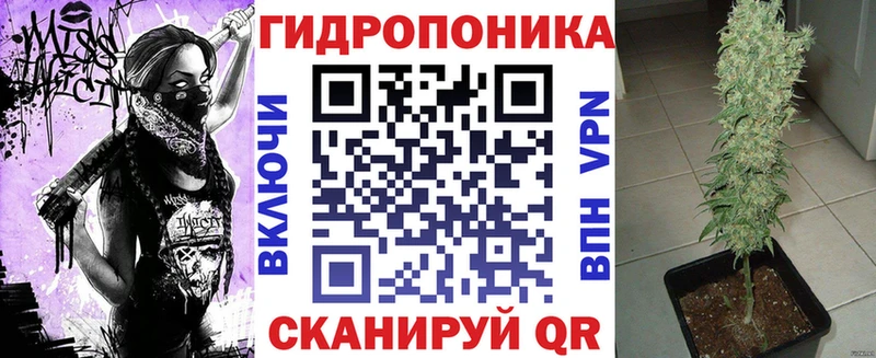 Канабис марихуана Сокол